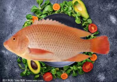 紅羅非魚一去